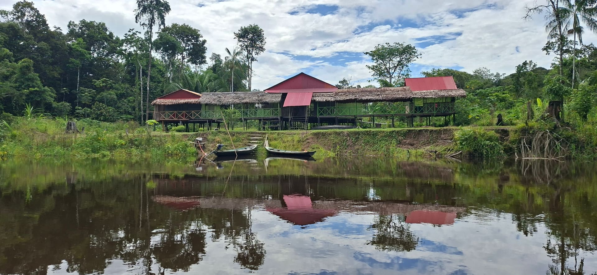 Amazon jungle landscape