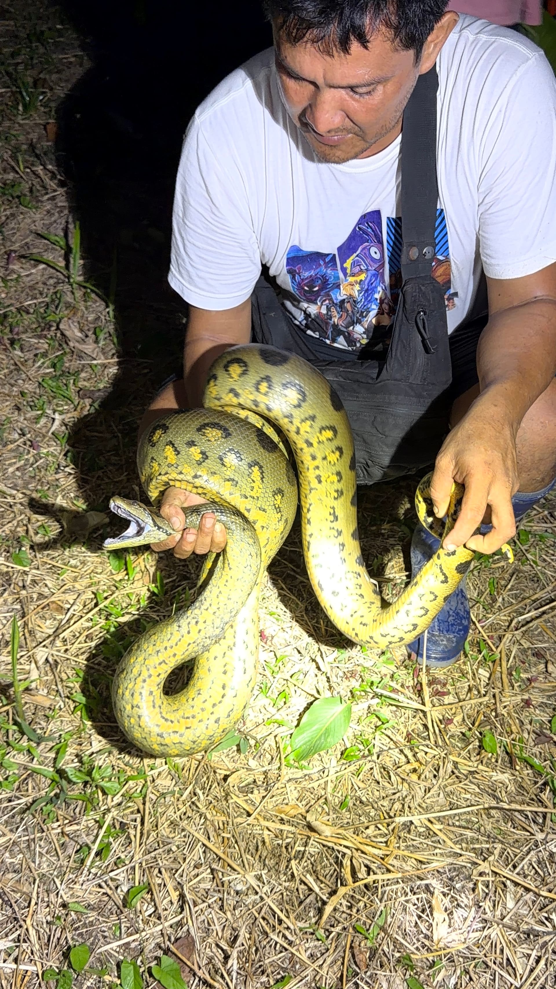Aventura photo 12