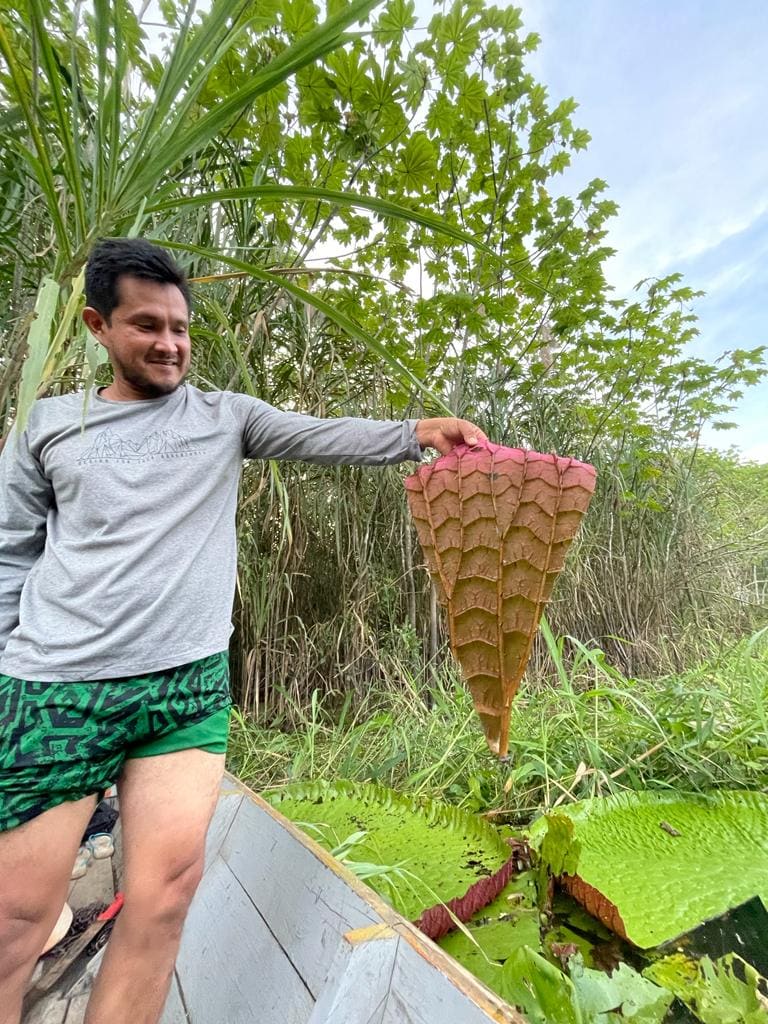 Survival Training