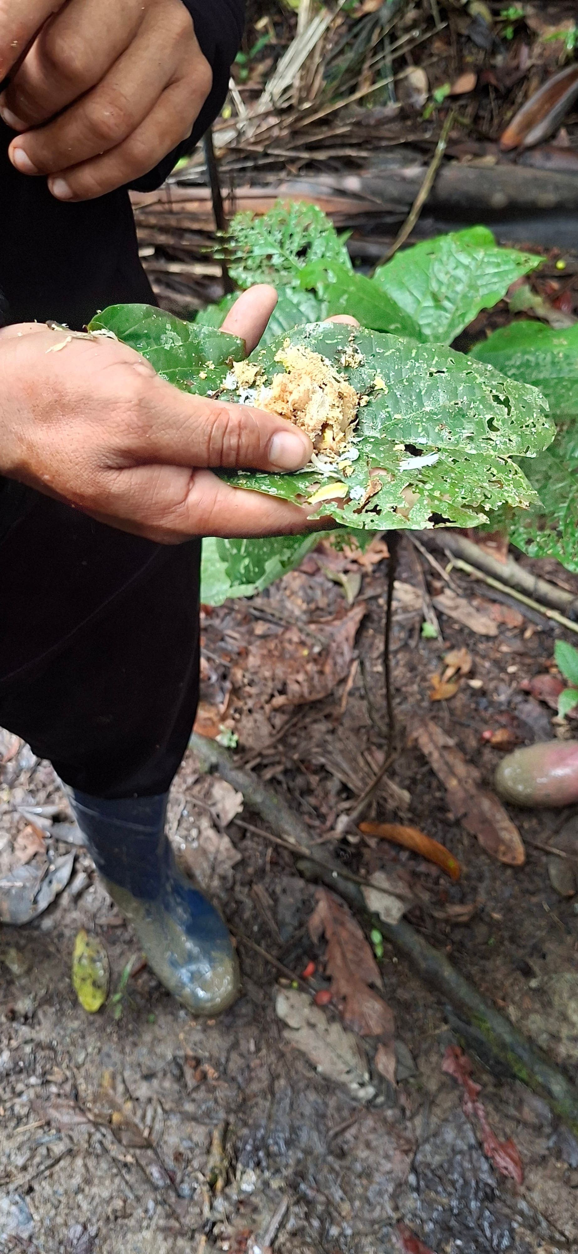Wilderness Quest photo 2