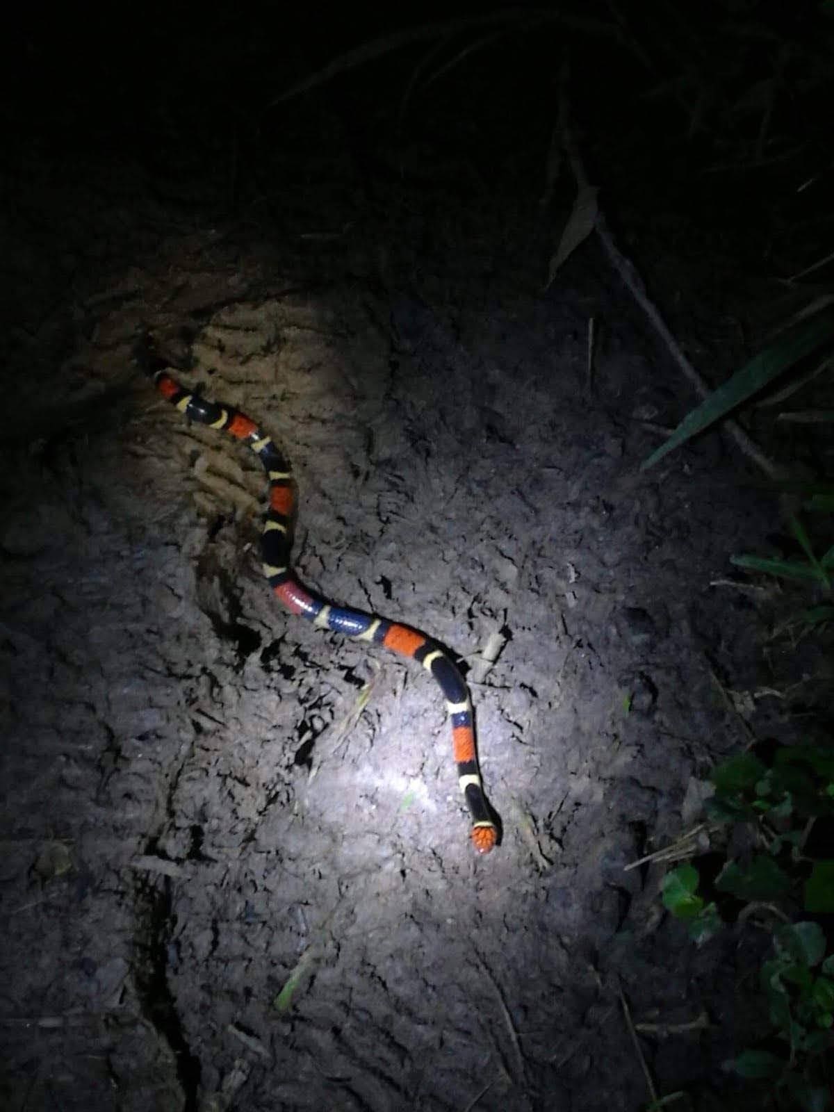 Wilderness Quest photo 3