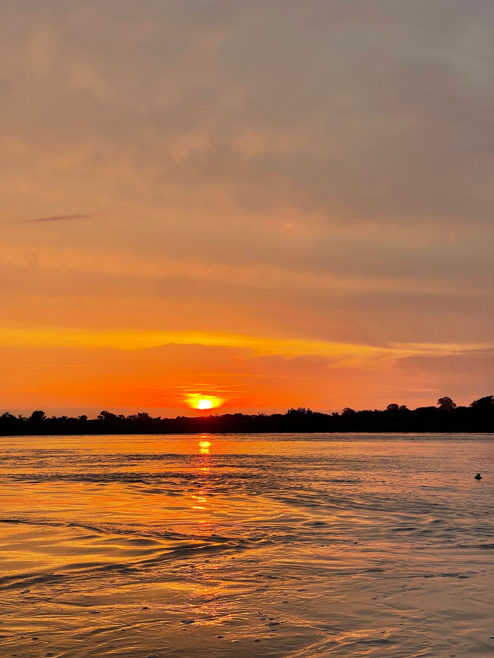 Amazon sunset